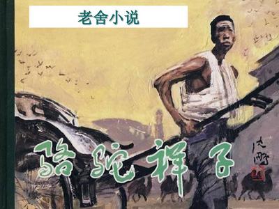 豆奶官网app